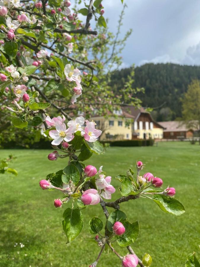 Hotel Dienstl Gut Launsdorf Экстерьер фото