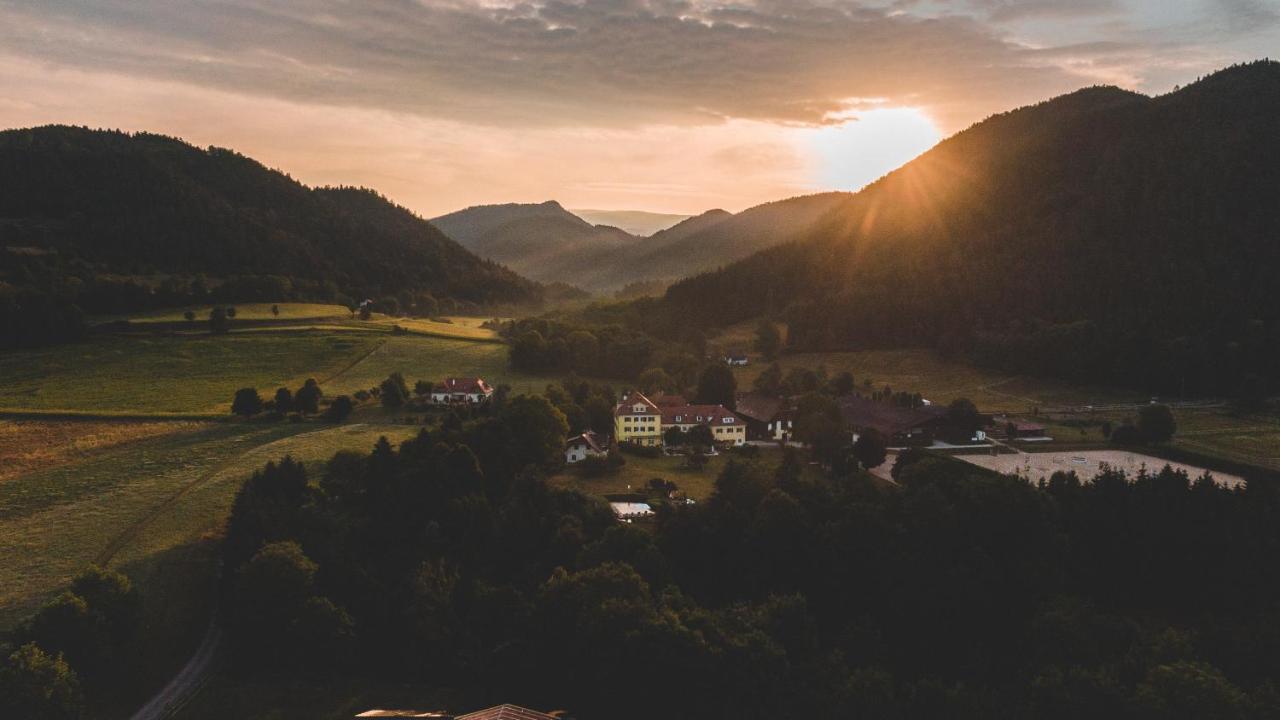 Hotel Dienstl Gut Launsdorf Экстерьер фото